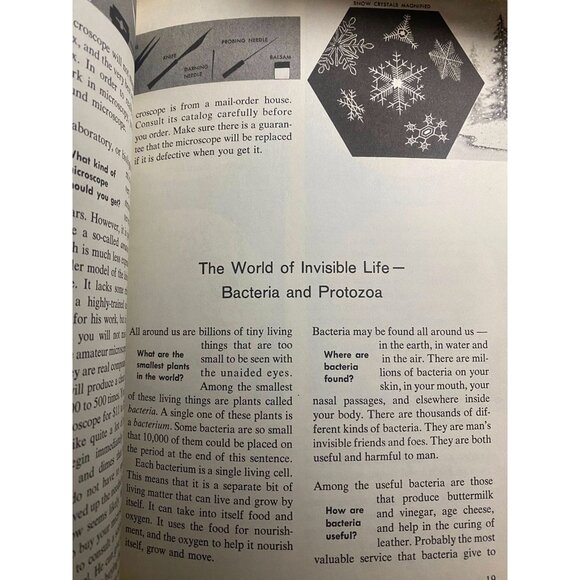 Vintage 1973 The How and Why Wonder Book of the Microscope – Illustrated Science - Picture 7 of 9